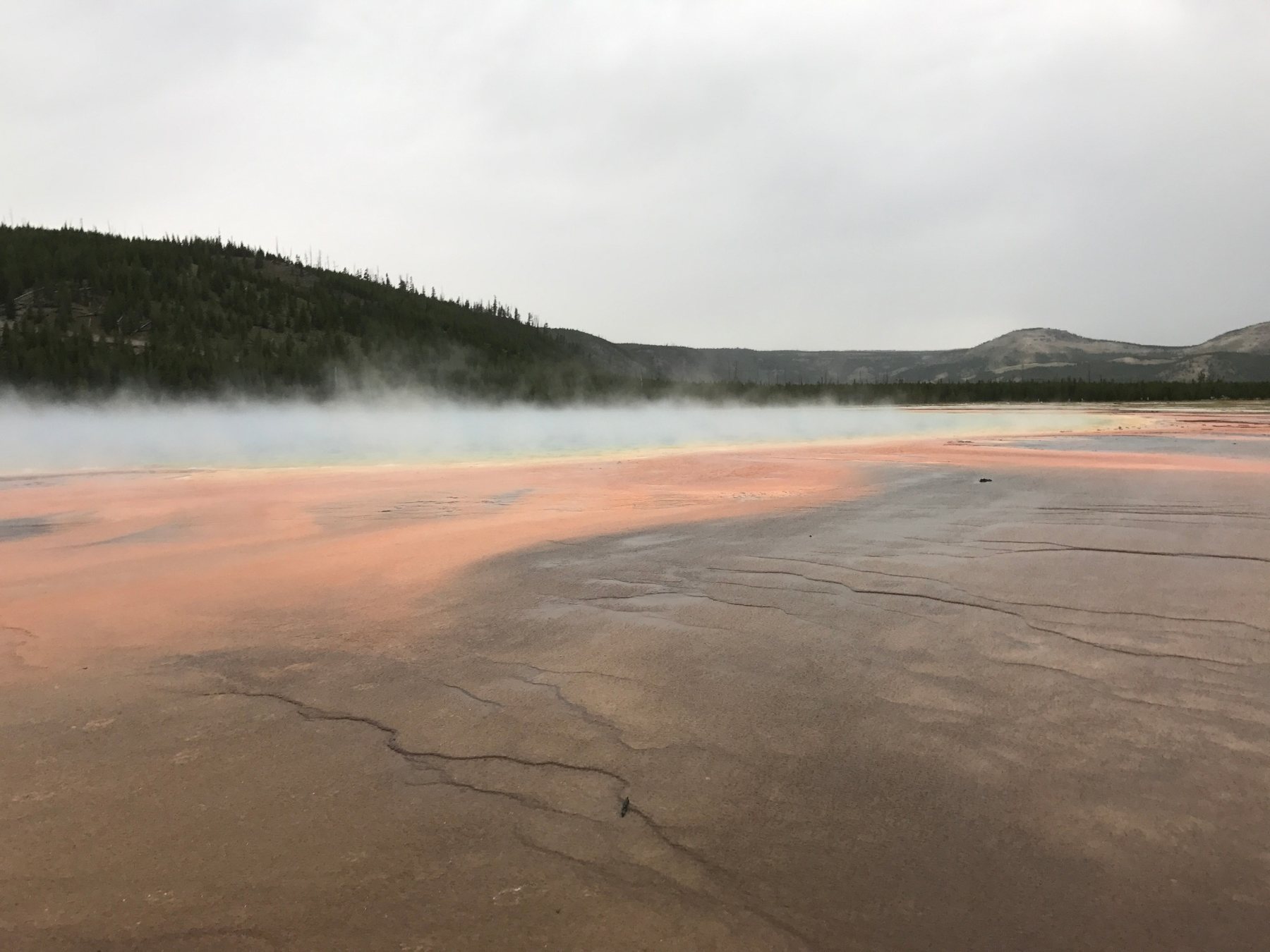 Colorful steaming thermal pool with orange mineral deposits and forested hills